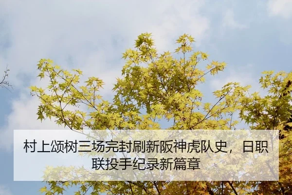 cun-shang-song-shu-san-chang-wan-feng-shua-xin-ban-shen-hu-dui-shi-ri-zhi-lian-tou-shou-ji-lu-xin-pian-zhang-2-883.jpg