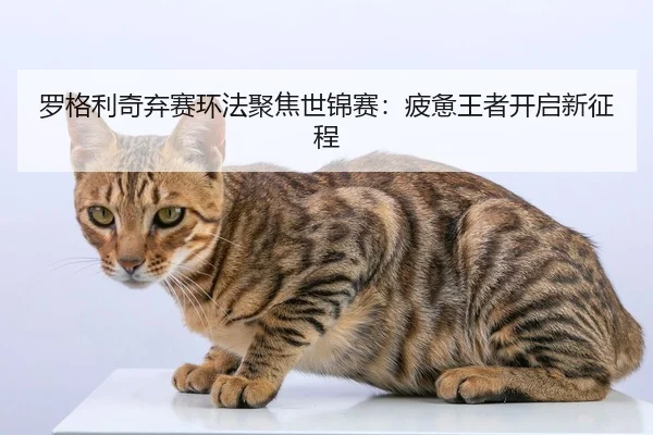 luo-ge-li-qi-qi-sai-huan-fa-ju-jiao-shi-jin-sai-pi-bei-wang-zhe-kai-qi-xin-zheng-cheng-2-465.jpg