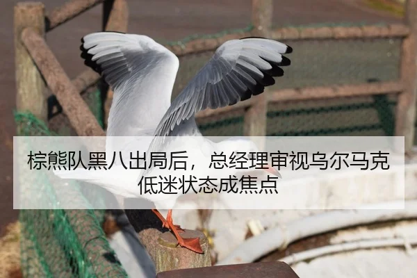zong-xiong-dui-hei-ba-chu-ju-hou-zong-jing-li-shen-shi-wu-er-ma-ke-di-mi-zhuang-tai-cheng-jiao-dian-2-294.jpg